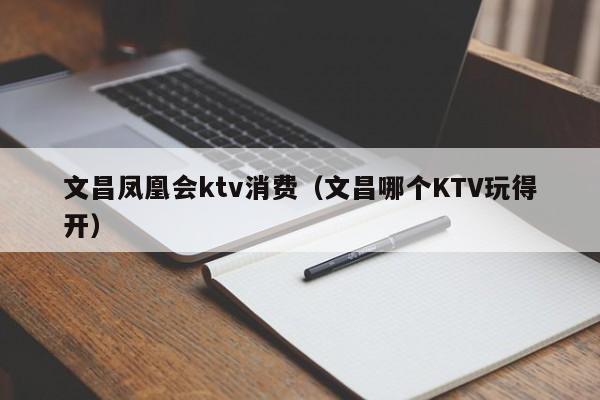 文昌凤凰会ktv消费（文昌哪个KTV玩得开）
