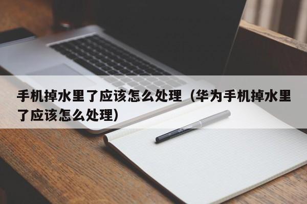 手机掉水里了应该怎么处理（华为手机掉水里了应该怎么处理）