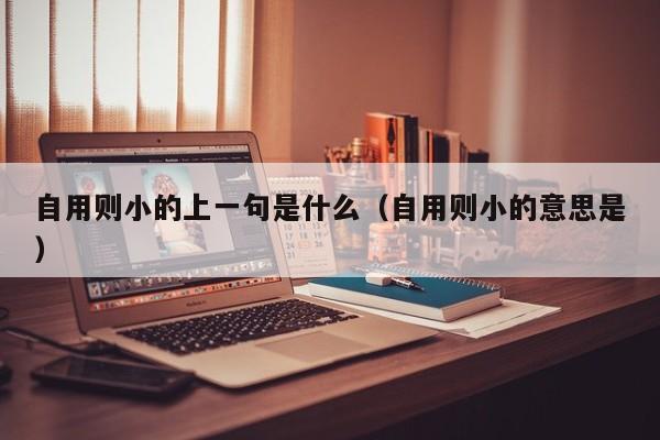 自用则小的上一句是什么（自用则小的意思是）