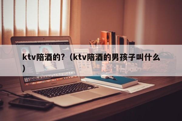 ktv陪酒的?（ktv陪酒的男孩子叫什么）