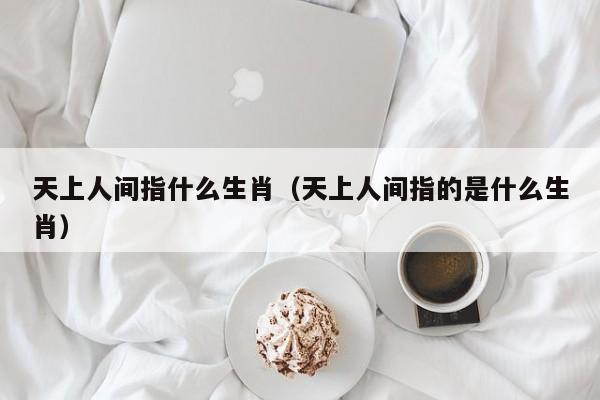 天上人间指什么生肖（天上人间指的是什么生肖）