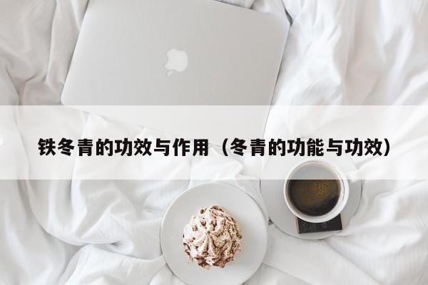 铁冬青的功效与作用（冬青的功能与功效）