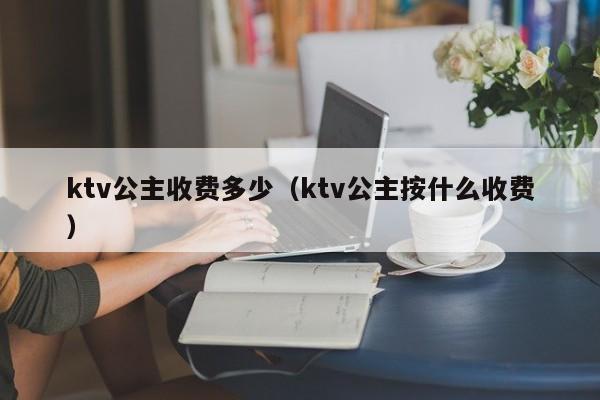 ktv公主收费多少（ktv公主按什么收费）