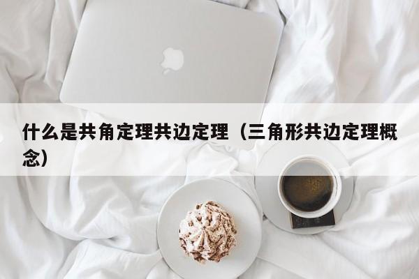 什么是共角定理共边定理（三角形共边定理概念）