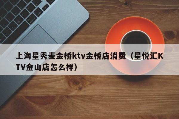 上海星秀麦金桥ktv金桥店消费（星悦汇KTV金山店怎么样）