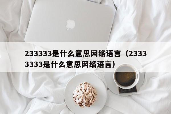 233333是什么意思网络语言（23333333是什么意思网络语言）