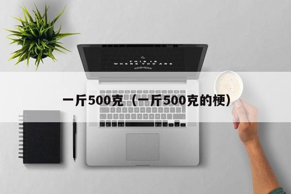 一斤500克（一斤500克的梗）