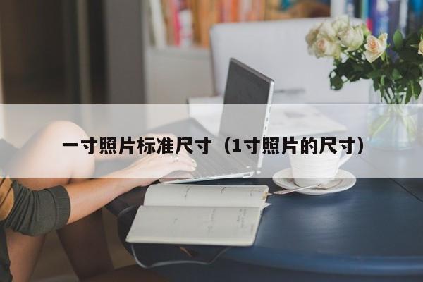 一寸照片标准尺寸（1寸照片的尺寸）