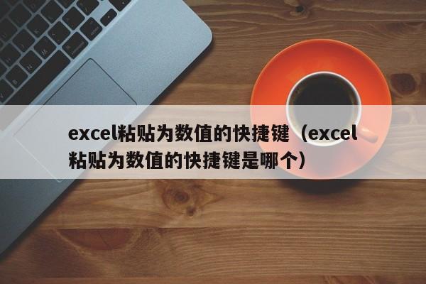 excel粘贴为数值的快捷键（excel粘贴为数值的快捷键是哪个）