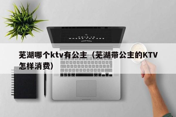 芜湖哪个ktv有公主（芜湖带公主的KTV怎样消费）