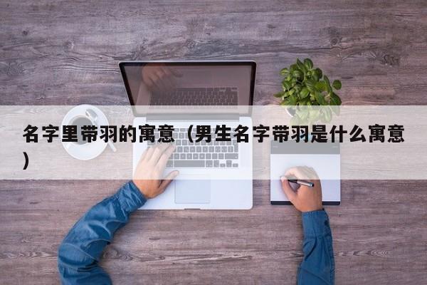 名字里带羽的寓意（男生名字带羽是什么寓意）