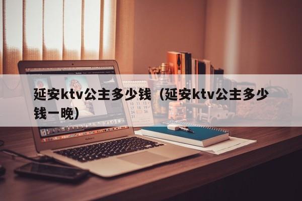 延安ktv公主多少钱（延安ktv公主多少钱一晚）