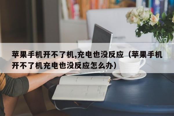 苹果手机开不了机,充电也没反应（苹果手机开不了机充电也没反应怎么办）