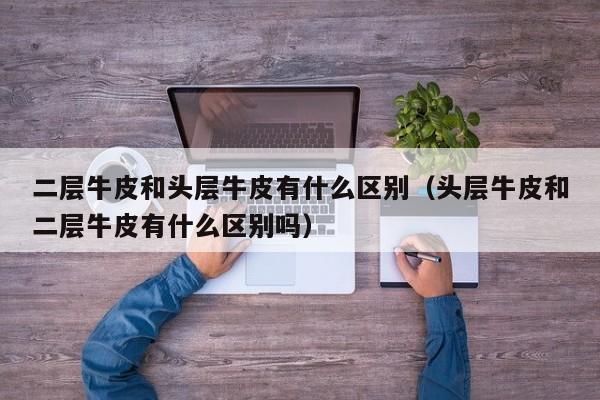 二层牛皮和头层牛皮有什么区别（头层牛皮和二层牛皮有什么区别吗）