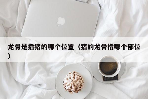 龙骨是指猪的哪个位置（猪的龙骨指哪个部位）