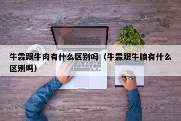 牛霖跟牛肉有什么区别吗（牛霖跟牛腩有什么区别吗）