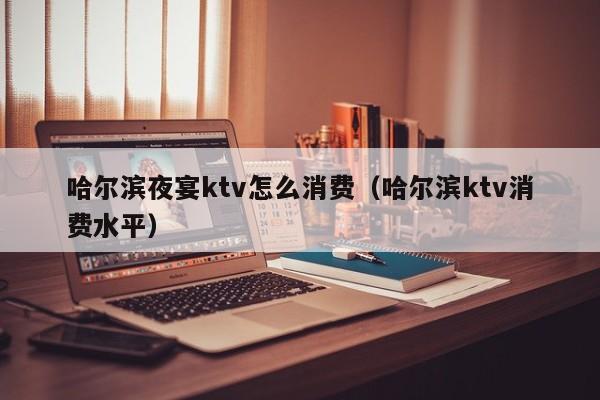 哈尔滨夜宴ktv怎么消费（哈尔滨ktv消费水平）