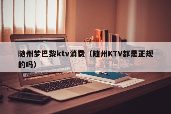 随州梦巴黎ktv消费（随州KTV都是正规的吗）