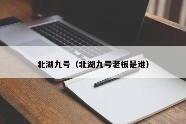 北湖九号（北湖九号老板是谁）