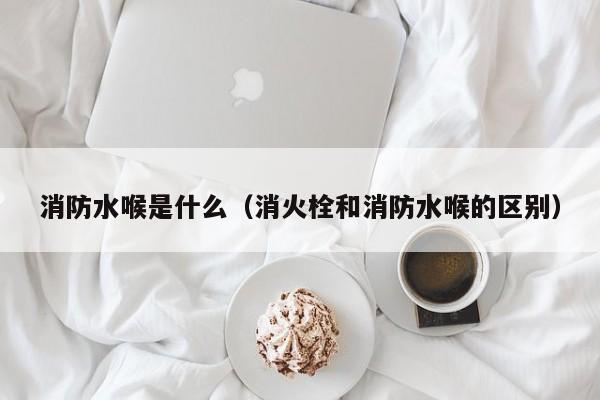 消防水喉是什么（消火栓和消防水喉的区别）