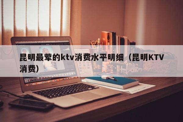 昆明最荤的ktv消费水平明细（昆明KTV消费）