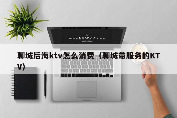聊城后海ktv怎么消费（聊城带服务的KTV）