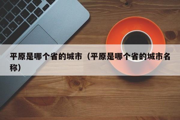 平原是哪个省的城市（平原是哪个省的城市名称）