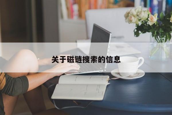 关于磁链搜索的信息