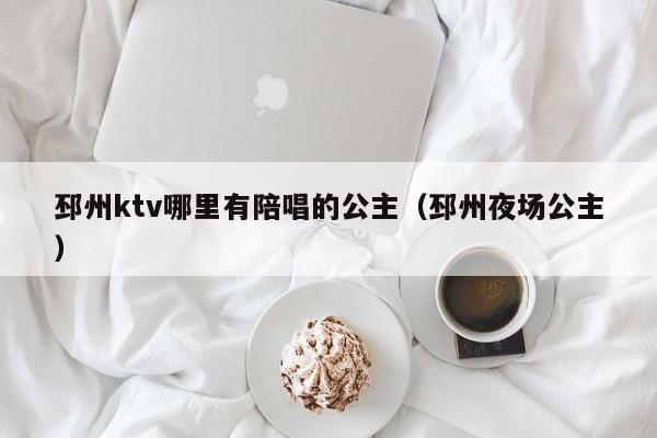 邳州ktv哪里有陪唱的公主（邳州夜场公主）