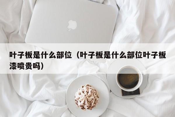 叶子板是什么部位（叶子板是什么部位叶子板漆喷贵吗）