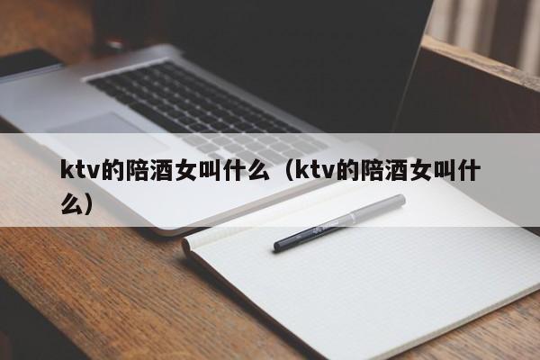 ktv的陪酒女叫什么（ktv的陪酒女叫什么）