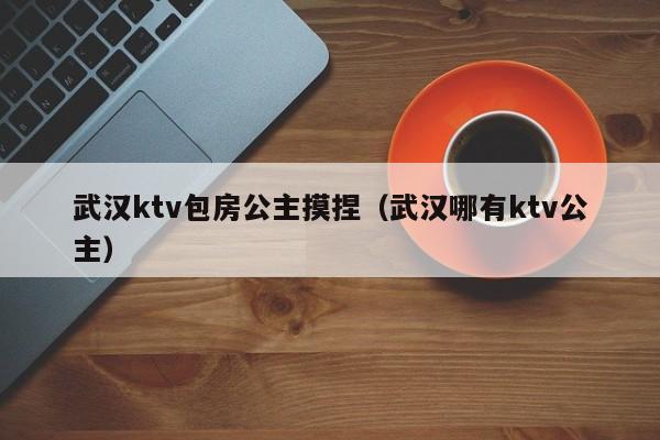 武汉ktv包房公主摸捏（武汉哪有ktv公主）