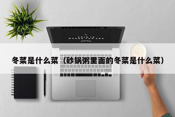 冬菜是什么菜（砂锅粥里面的冬菜是什么菜）