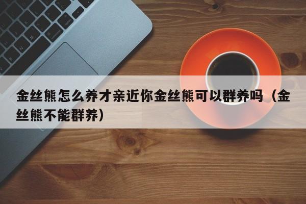 金丝熊怎么养才亲近你金丝熊可以群养吗（金丝熊不能群养）