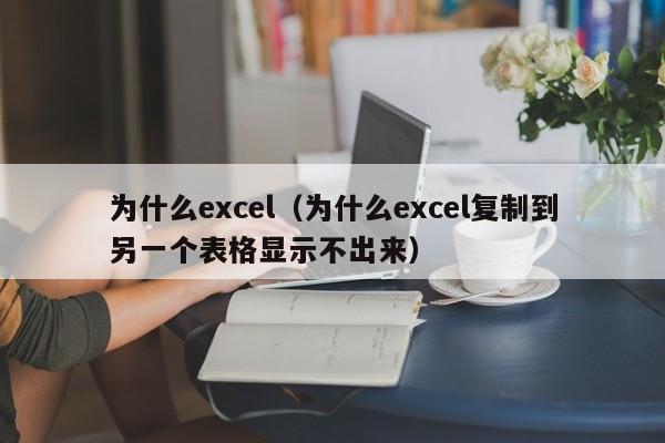 为什么excel（为什么excel复制到另一个表格显示不出来）