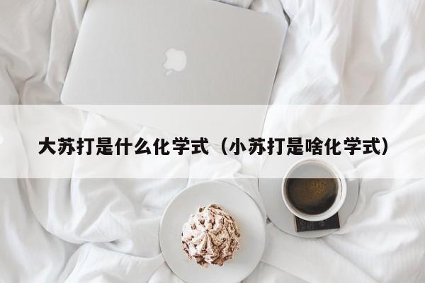 大苏打是什么化学式（小苏打是啥化学式）