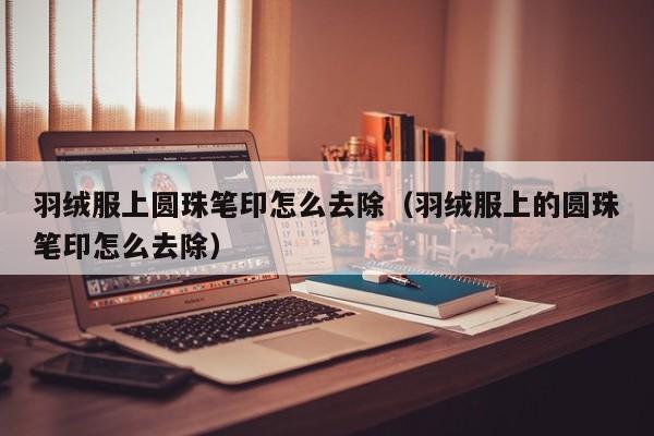 羽绒服上圆珠笔印怎么去除（羽绒服上的圆珠笔印怎么去除）