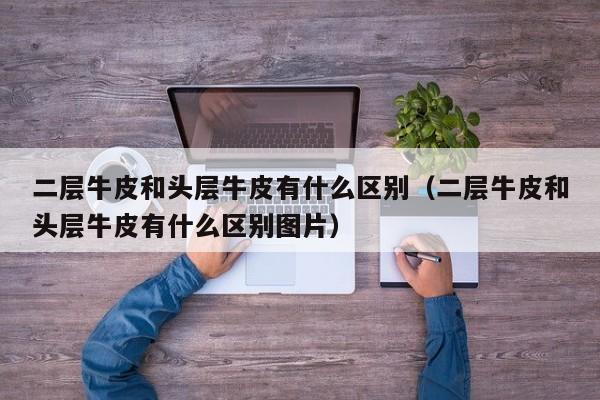 二层牛皮和头层牛皮有什么区别（二层牛皮和头层牛皮有什么区别图片）