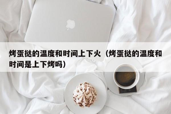 烤蛋挞的温度和时间上下火（烤蛋挞的温度和时间是上下烤吗）