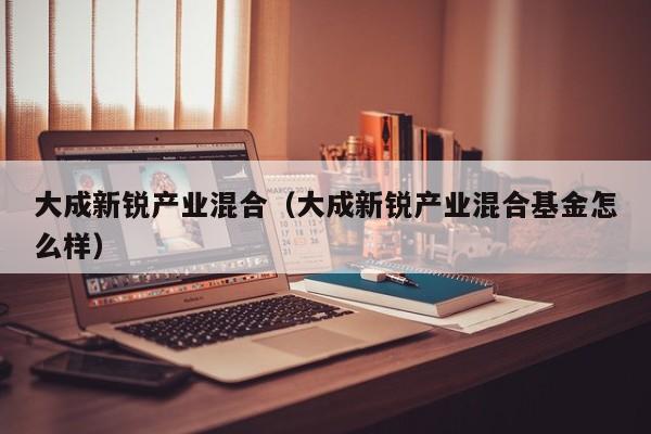 大成新锐产业混合（大成新锐产业混合基金怎么样）