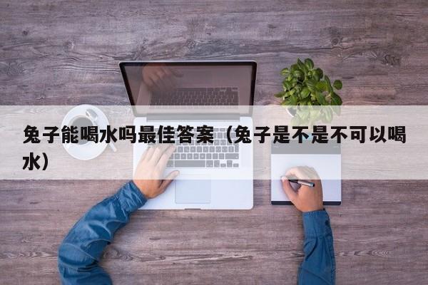 兔子能喝水吗最佳答案（兔子是不是不可以喝水）