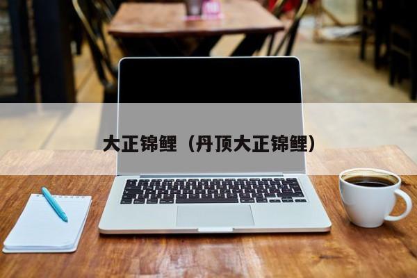 大正锦鲤（丹顶大正锦鲤）
