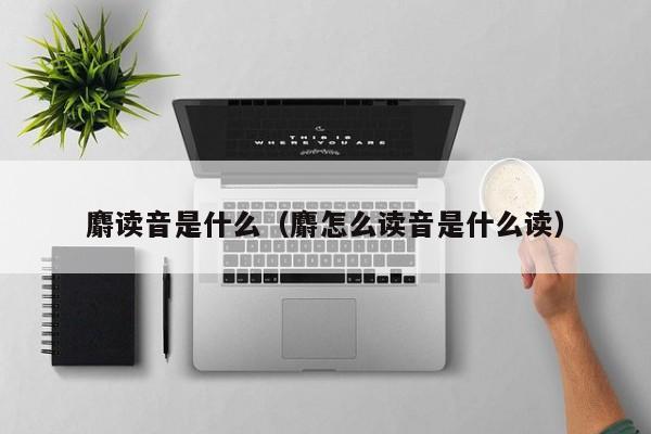 麝读音是什么（麝怎么读音是什么读）