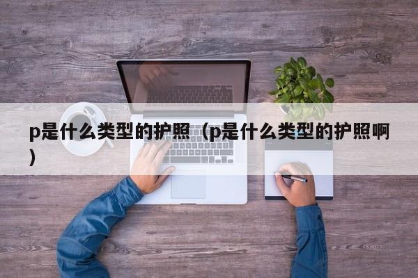 p是什么类型的护照（p是什么类型的护照啊）
