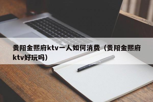 贵阳金熙府ktv一人如何消费（贵阳金熙府ktv好玩吗）