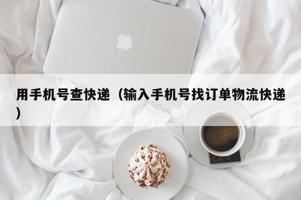 用手机号查快递（输入手机号找订单物流快递）