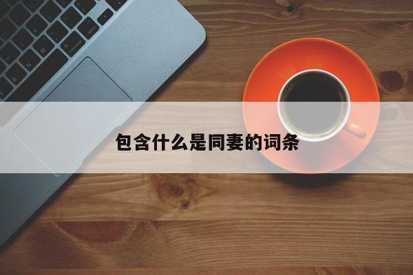 包含什么是同妻的词条