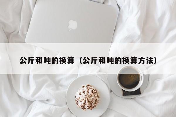 公斤和吨的换算（公斤和吨的换算方法）