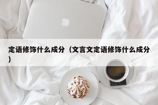 定语修饰什么成分（文言文定语修饰什么成分）