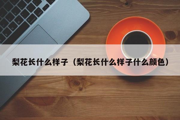 梨花长什么样子（梨花长什么样子什么颜色）